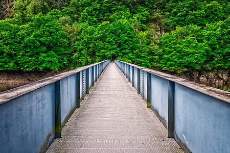 gray bridge near tree during daytime thumbnail