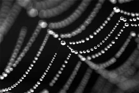 blur, focus, jewelry, shiny thumbnail