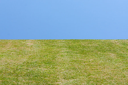 grass field thumbnail
