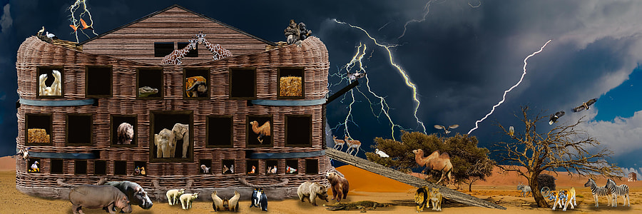 close-up photography of Noah's ark thumbnail