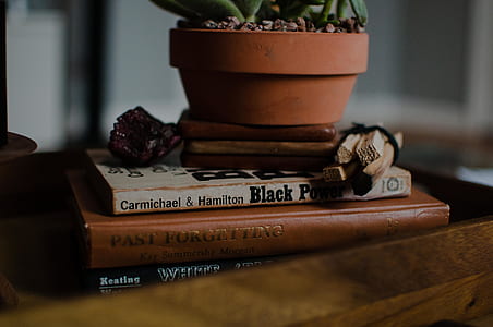 green plant in brown pot on top of books thumbnail