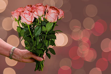 pink roses thumbnail