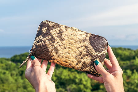 Brown and Black Snakeskin Leather Zip-around Purse thumbnail