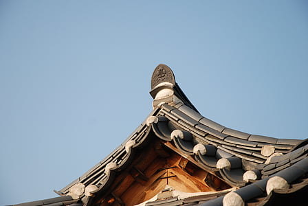photography of temple roof thumbnail