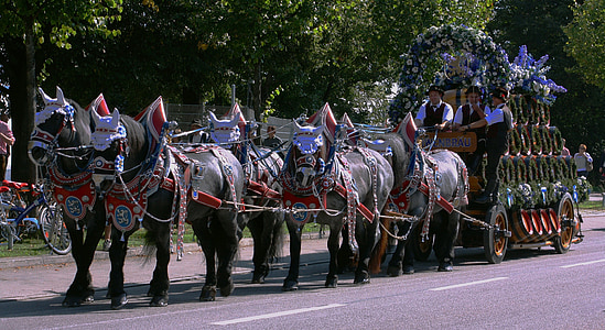 people riding carriage thumbnail