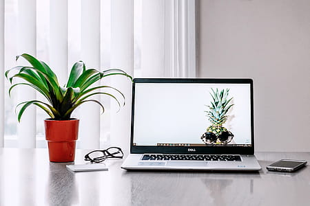 Photo of Laptop Near Plant thumbnail
