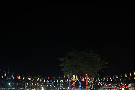 assorted-color string lights thumbnail