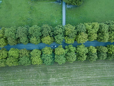 aerial photograph of gray vehicle in the road between trees thumbnail