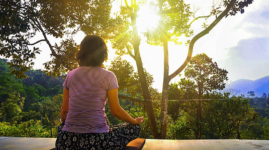 woman wearing purple striped shirt sitting near green trees during daytime thumbnail