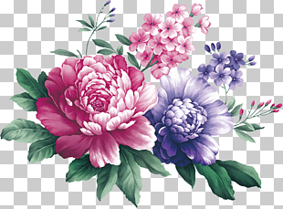 Floral design Centifolia roses Cut flowers Flower bouquet Artificial flower, Watercolor peony, pink and purple carnation flowers PNG clipart