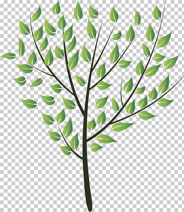 drawing flower tree png clipart free cliparts uihere uihere