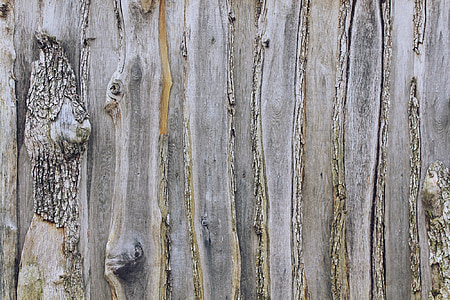brown wooden board thumbnail