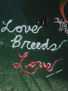 green wall with Love Breeds and Love graffiti thumbnail