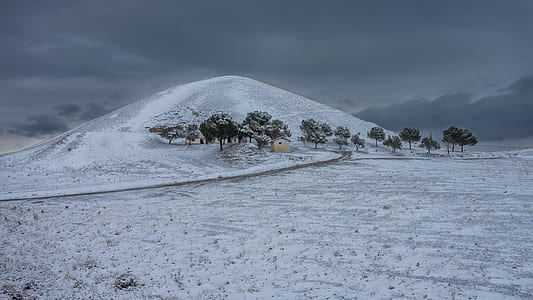 snow covered mountain near trees thumbnail