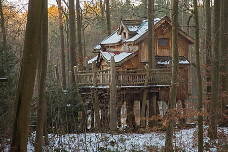 landscape photograph of tree house in forest thumbnail