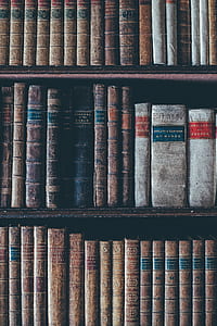 books on bookcase thumbnail