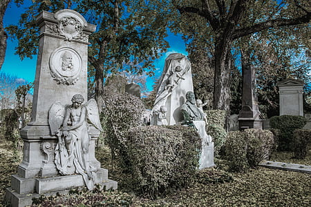several tombstones near green tree thumbnail