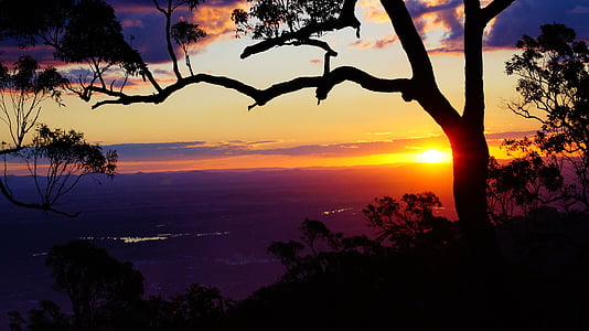 silhouette of tree near mountain cliff at golden hour thumbnail