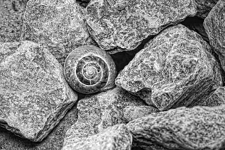 grey stone fragment thumbnail