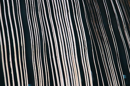 lines, black and white, stripes, bone thumbnail