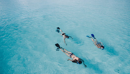 three person swims on body of water thumbnail