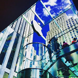 people standing on clear glass ground thumbnail