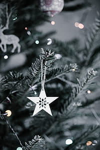 tree, christmas, christmas tree, lights thumbnail