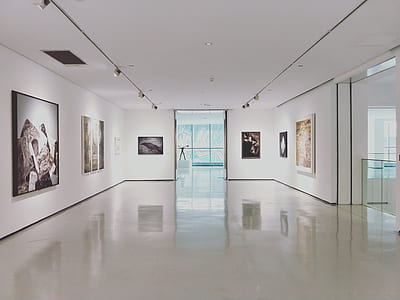 painting hanged on wall inside art museum thumbnail