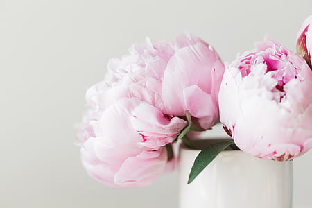 pink peony flower arrangement thumbnail