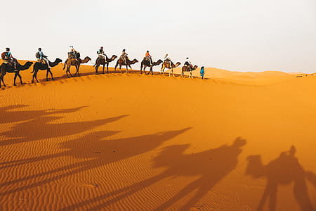 Across the Sahara thumbnail