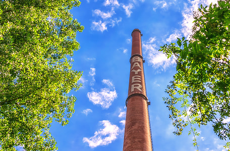 brown Bayer post beside trees thumbnail