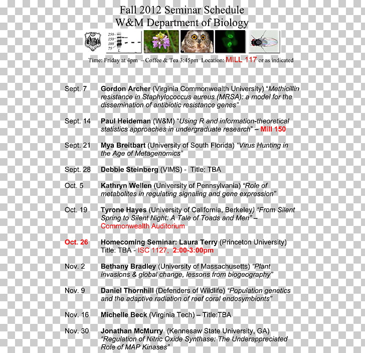 Web Page Screenshot Line Font Line Png Clipart Free Cliparts