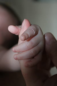 baby holding person's hand thumbnail