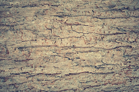 beige wood wallpaper thumbnail