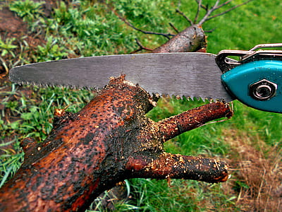 brown wooden wood with gray saw thumbnail