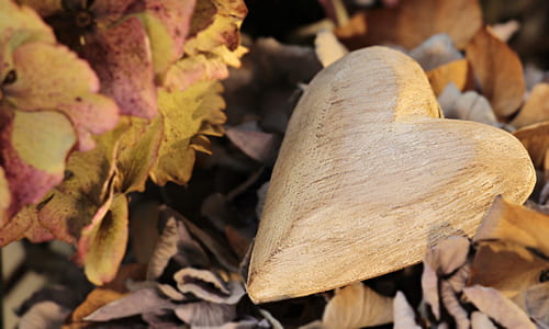 carved heart on dried leaves thumbnail
