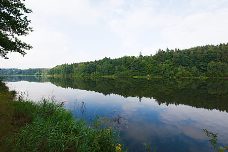 river between green trees thumbnail