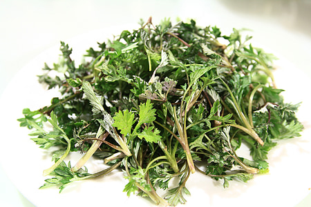 green parsley on white plate thumbnail