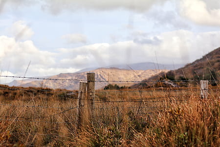 mountain cover with trees photography thumbnail
