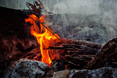 wood, rocks, firewood, fire thumbnail