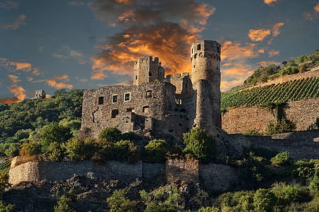 gray stone castle near green leaf tre thumbnail