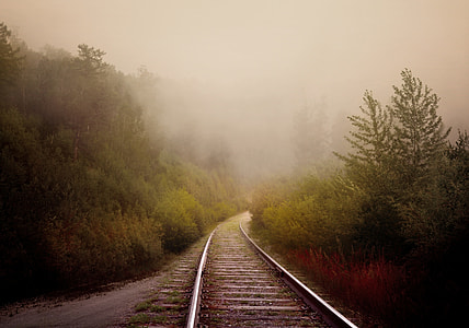 gray rail road in center of green trees during fog thumbnail
