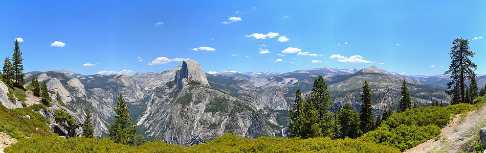 photo of green leaf trees under blue sky at daytime thumbnail