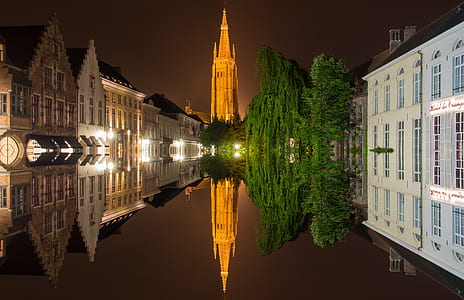 buildings and green tree reflecting on water at night thumbnail