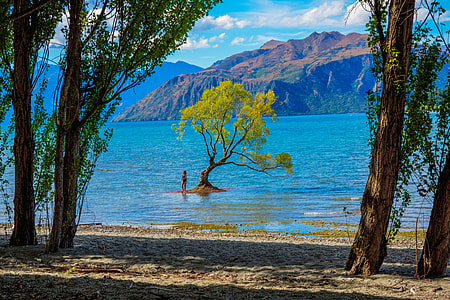 person standing near tree surrounded by body of water thumbnail