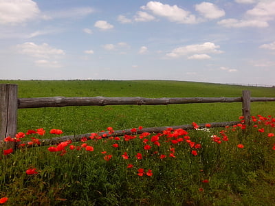 bed or red flowees thumbnail