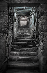 low angle photography of stairs thumbnail