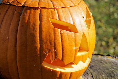 yellow Jack-o'-lantern squash on gray surface thumbnail