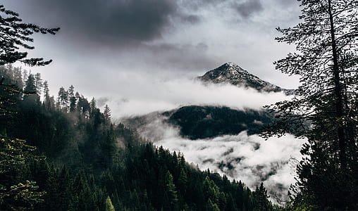 foggy mountain thumbnail