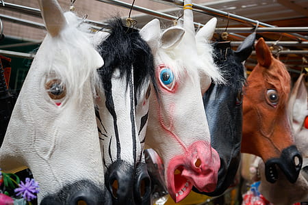 five assorted-color horse masks arrangement thumbnail